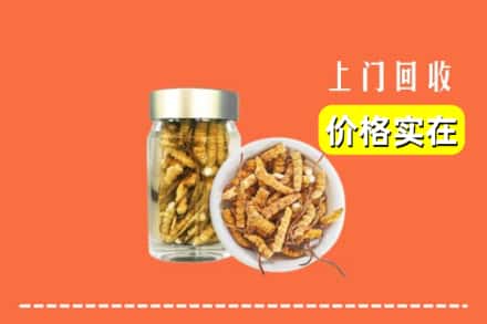 赤峰市阿鲁科尔沁回收散虫草