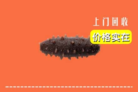 赤峰市阿鲁科尔沁回收海参