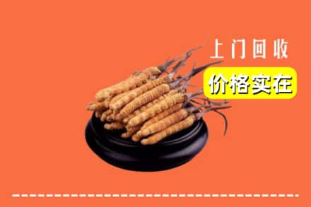 赤峰市阿鲁科尔沁回收冬虫夏草